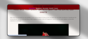 Lire la suite à propos de l’article Projet 2: Création d&rsquo;un site web via HTML, CSS et JAVASCRIPT