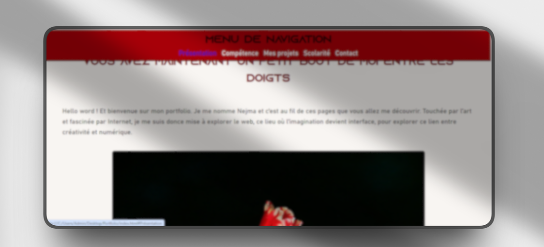 Lire la suite à propos de l’article Projet 2: Création d&rsquo;un site web via HTML, CSS et JAVASCRIPT