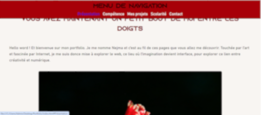 Capture d'écran issue de mon web