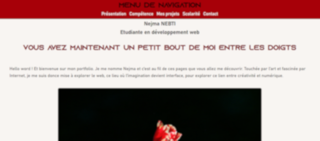capture d'écran issue de mon site